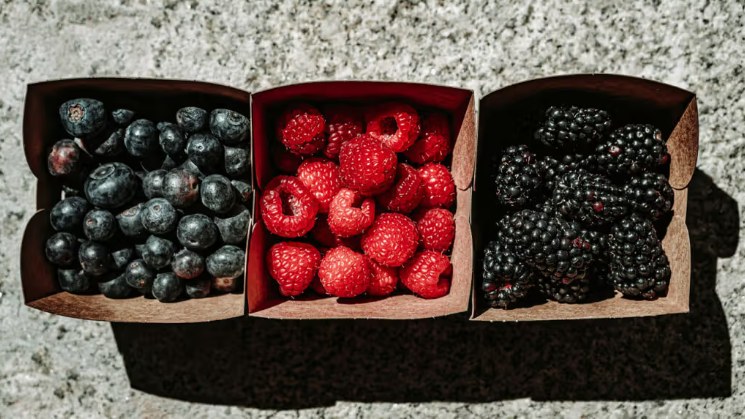 Polyphenol-rich cocoa, coffee, and berries may help support heart health