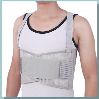 Rib support belt 
